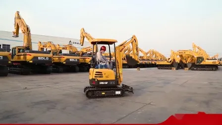 Sdlg E6210f 21t Medium Size Crawler Excavator with Imported Engine