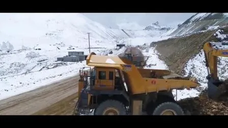 China XCMG Original Used Large Hydraulic Mining Crawler Excavator Xe900d with Factory Price 