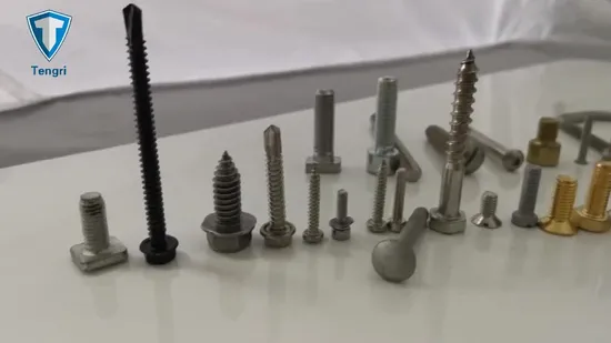 Duplex 2205 Fasteners Torx Pan Head Self Drilling Screw Anti